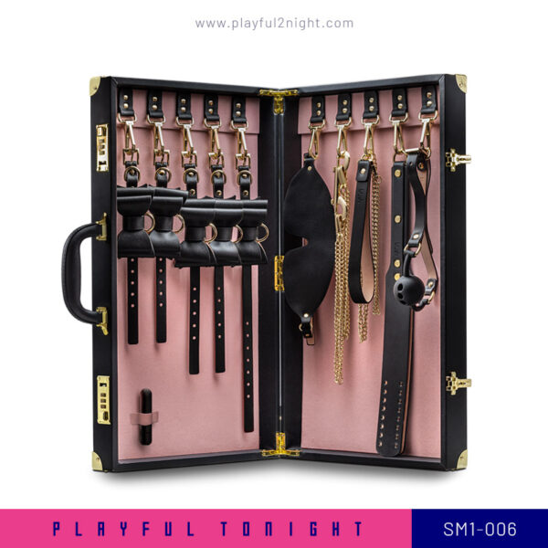 Playful2night_Blush | Temptasia Safe Word Bondage Kit with Black Suitcase